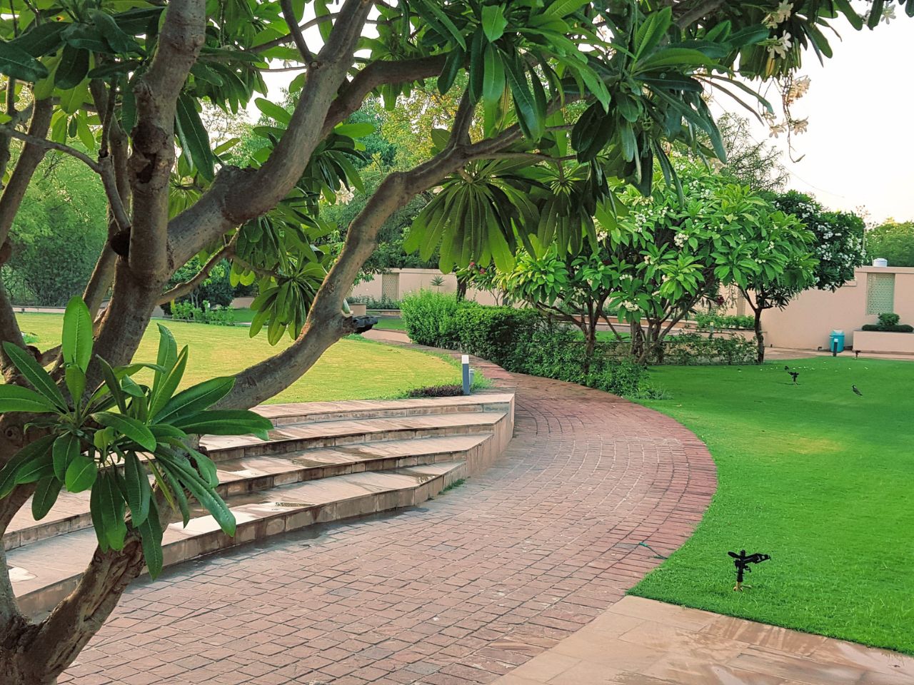 Garden pathway lined with frangipani trees at Vankamal Resort, Jaipur
